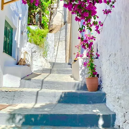 Apart-hotel Babatseratsi Skyrian 1 3*