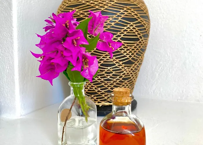 Babatseratsi Skyrian 1 Skyros